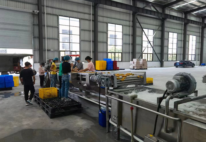 http://www.gaojiabao.com.cn/data/images/product/20231010103556_506.jpg