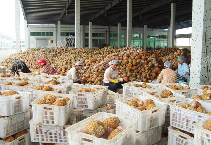 http://www.gaojiabao.com.cn/data/images/product/20231010114640_916.jpg